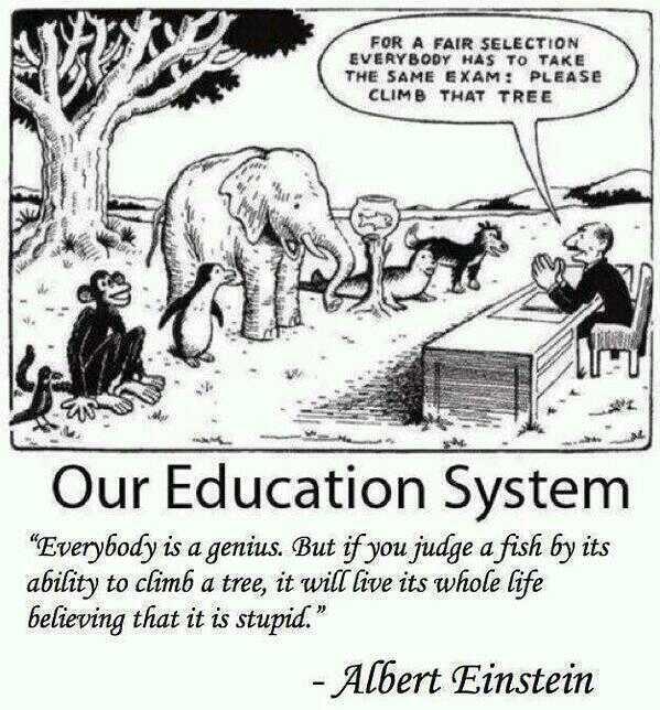 Education system